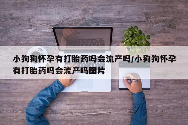 堕胎药微信有谁买微信小狗狗怀孕有打胎药吗会流产吗/小狗狗怀孕有打胎药吗会流产吗图片