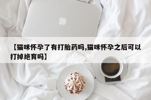 堕胎药微信有谁买微信【猫咪怀孕了有打胎药吗,猫咪怀孕之后可以打掉绝育吗】