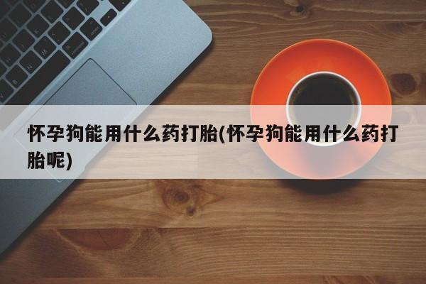 堕胎药微信有谁买微信怀孕狗能用什么药打胎(怀孕狗能用什么药打胎呢)